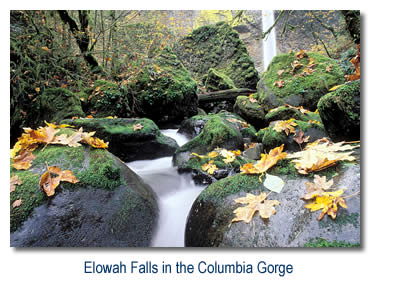 Elowah Falls (link to more photos)